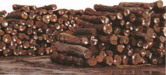 1.5萬平米露天倉庫